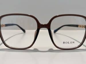 Bolon